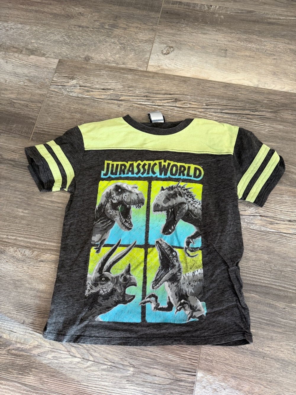 Jurassic World Boys' Short Sleeve Graphic Tee in Black & Neon Yellow